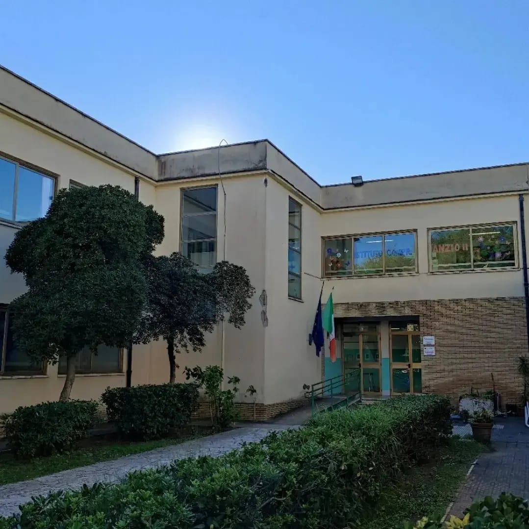 315091495 605923671328972 813052800168017296 n